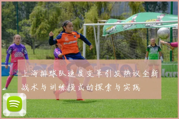 上海排球队速度变革引发热议全新战术与训练模式的探索与实践