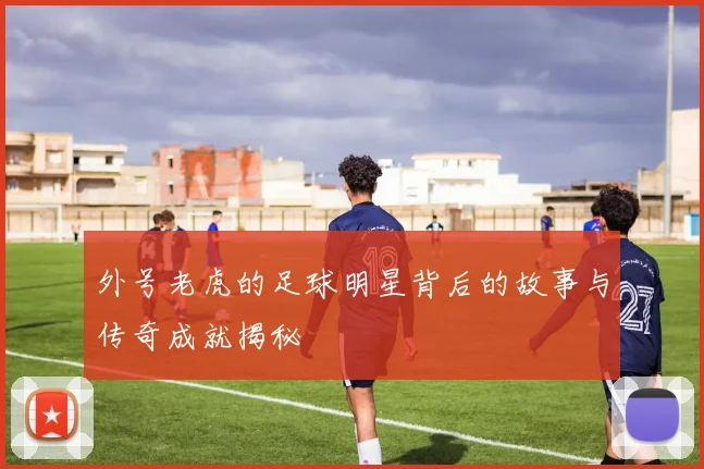 外号老虎的足球明星背后的故事与传奇成就揭秘