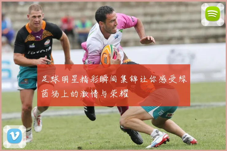 足球明星精彩瞬间集锦让你感受绿茵场上的激情与荣耀