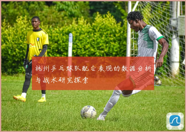 杭州乒乓球队配合表现的数据分析与战术研究探索