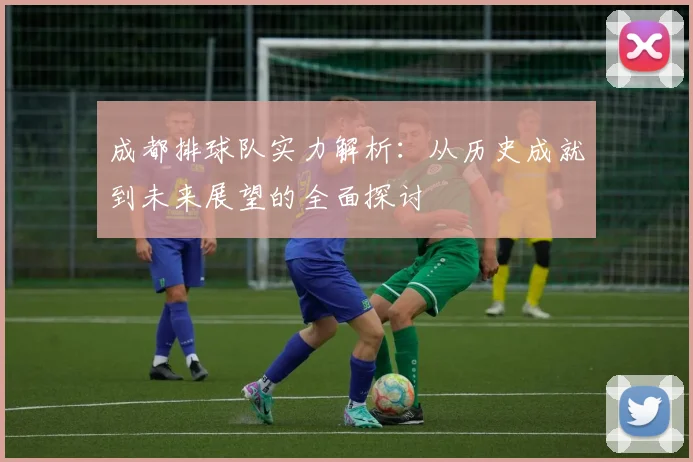 成都排球队实力解析：从历史成就到未来展望的全面探讨