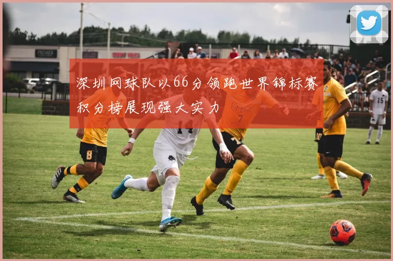 深圳网球队以66分领跑世界锦标赛积分榜展现强大实力