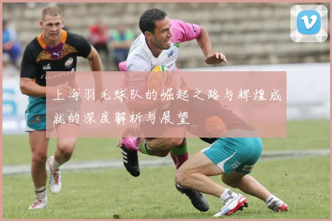 上海羽毛球队的崛起之路与辉煌成就的深度解析与展望
