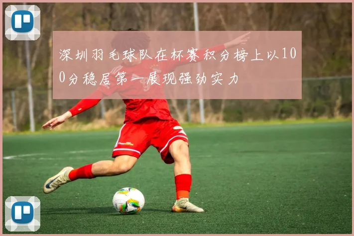 深圳羽毛球队在杯赛积分榜上以100分稳居第一展现强劲实力