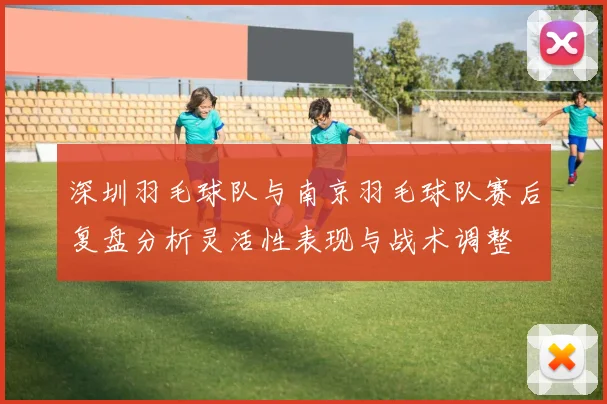 深圳羽毛球队与南京羽毛球队赛后复盘分析灵活性表现与战术调整