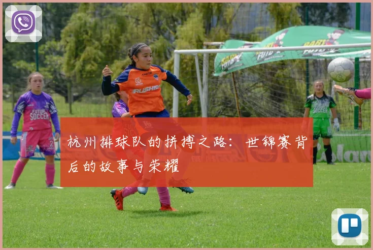 杭州排球队的拼搏之路：世锦赛背后的故事与荣耀