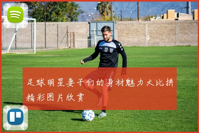 足球明星妻子们的身材魅力大比拼精彩图片欣赏