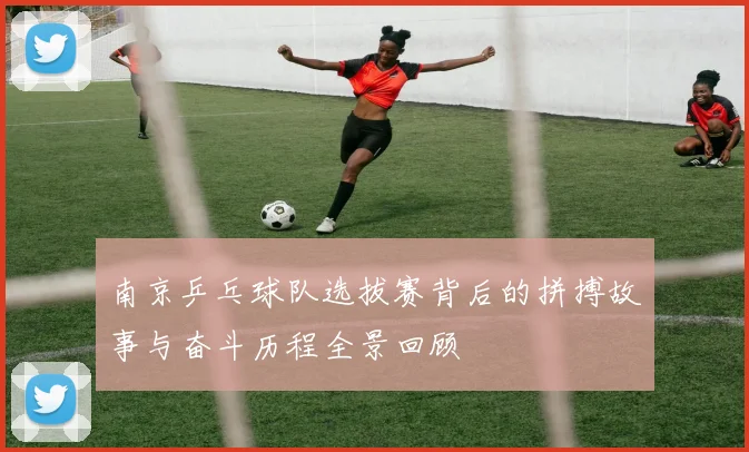 南京乒乓球队选拔赛背后的拼搏故事与奋斗历程全景回顾