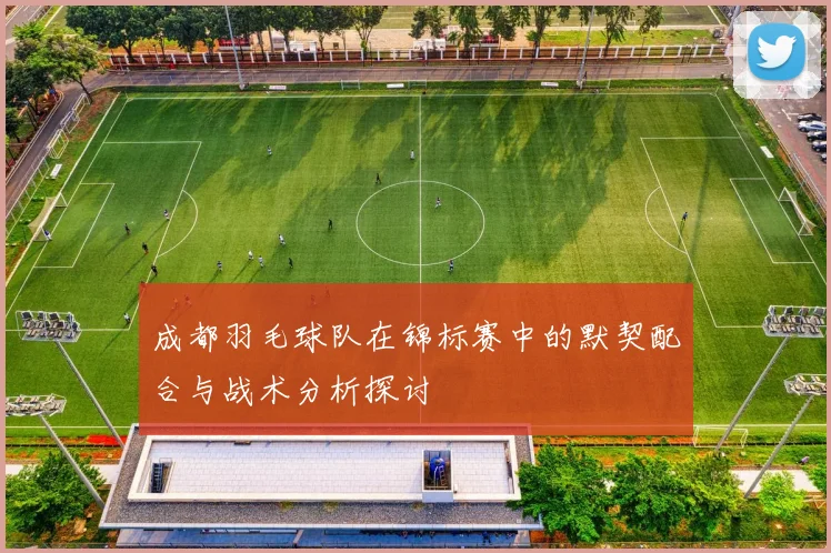 成都羽毛球队在锦标赛中的默契配合与战术分析探讨