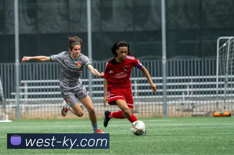 开云，kaiyun发展历程